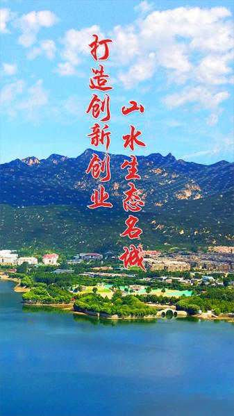 泰安新动能app下载,泰安新动能,办公app